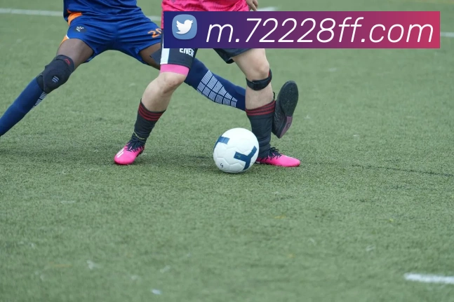 奖项2